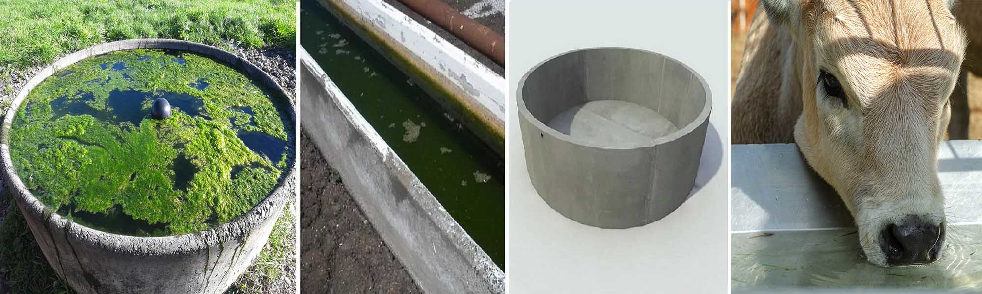 Water Trough Cleaning Services Waikato, Hamilton, Taupo